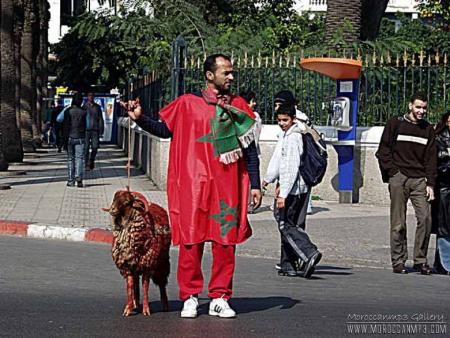 vive maroc